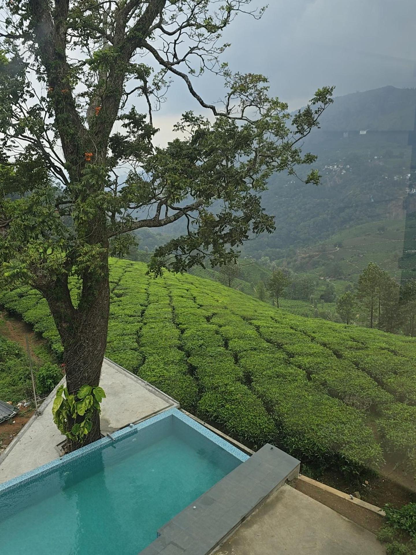 Beauty Spot Munnar Hotell Exteriör bild